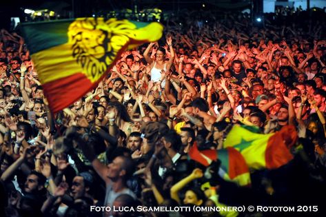 Rototom Sunsplash Reggae Festival Reggae Festival, Plan A Trip, Interactive Map, Design Collection, Plan A, Tips And Tricks, The Whole, Bucket List, Vision Board