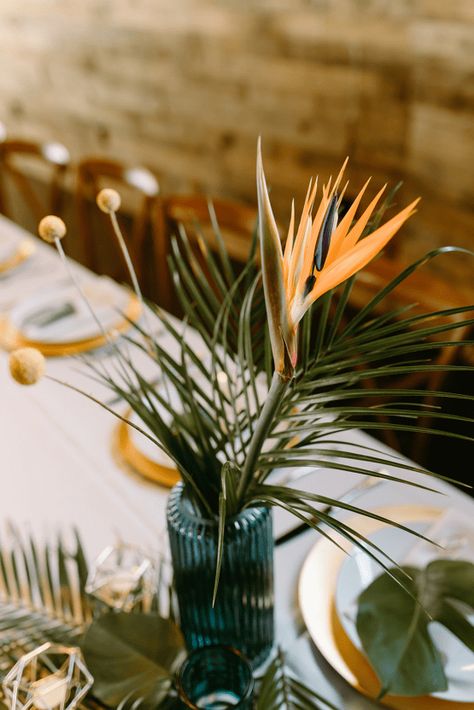 Minimal Tropical Wedding Decor, Birds Of Paradise Wedding Decor, Teal Tropical Wedding, Birds Of Paradise Wedding Centerpieces, Tropical Fall Wedding, Bird Of Paradise Centerpiece, Minimal Tropical Wedding, Birds Of Paradise Wedding, Moody Tropical Wedding