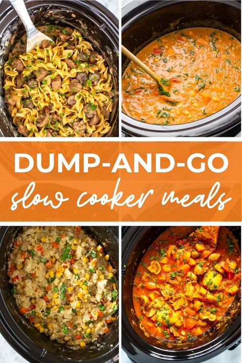 Healthy Crockpot Recipes {Dump Dinners} - The Girl on Bloor Crock Pot Dump Meals Healthy, Chicken Dump Meals Crock Pot, Crockpot Recipes Freezer Dump Dinners, Drop And Go Crockpot Meals, Dump And Go Crockpot Dinners Pork Chops, Slow Cooker Dump Dinners, Crock Pot Recipes Dump And Go, 8-10 Hour Crockpot Meals, Crockpot Dump Meals Easy Recipes