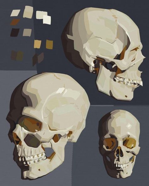 How To Color Bones Digital, No Blending Painting, Skull Digital Painting, Skull Drawing Color, Digital Painting Study, Paint Study Reference, Skull Shading Drawing, Skull Painting Tutorial, Coloring Reference Digital