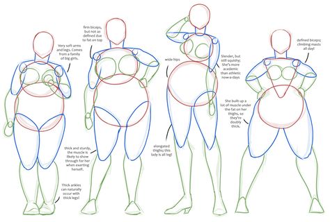 anatomy reference Womens Drawing, Plus Size Body Shapes, Body Type Drawing, Plus Size Art, Body Drawing Tutorial, Figure Reference, Body Reference Drawing, Anatomy Drawing, Figure Drawing Reference