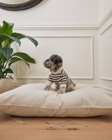 Pretty Dog Bed, Chic Dog Bed, Dog Apartment, Dog Bed Ideas, Nap Bed, Stylish Dog Beds, Cute Dog Beds, Cute Crewneck, Covered Dog Bed