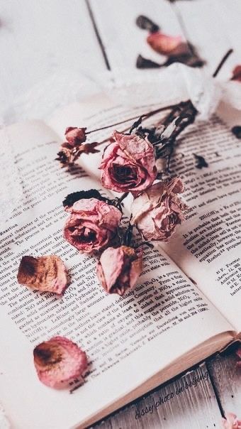 𝓟𝓲𝓷𝓽𝓮𝓻𝓮𝓼𝓽: ♡𝓫𝓻𝓲𝓽𝔁𝓻𝓪𝓶𝓲𝓻𝓮𝔃♡ Book Flowers, Book Wallpaper, Flower Phone Wallpaper, Coffee And Books, Flower Backgrounds, Wallpapers Vintage, Aesthetic Vintage, Book Photography, Aesthetic Backgrounds