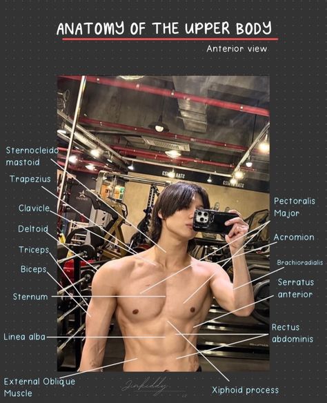 Human Anatomy Notes Aesthetic, Shinee Tattoo, Guilty Taemin, Taemin Boyfriend Material, Taemin Twitter, Taemin Guilty, No Exit, Muscular System, Shinee Jonghyun