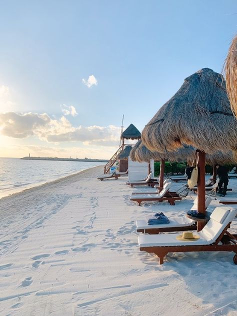 Private Beach Resort, Beach Resort Photography, Beach Resort Pictures, Beach Resort Aesthetic, Beach Vacation Aesthetic, Resort Aesthetic, Resort Pictures, Beaches In Mexico, Luxury Beach Vacation