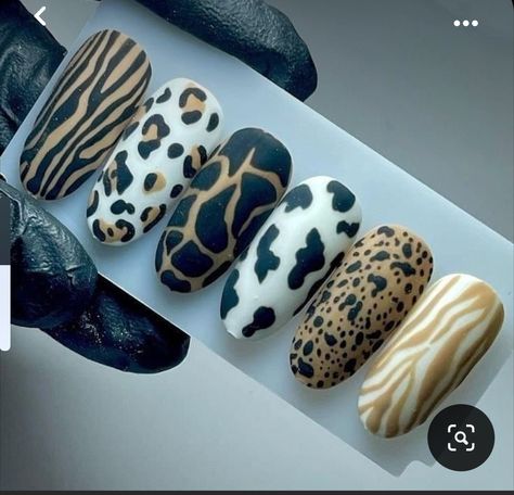 Animal Print On Nails, Animals Print Nails, Nails Print Animal, Animal Prints Nail Art, Zebra Nail Art Designs, Animal Print Nail Art Designs, Safari Theme Nails, Animal Nails Designs, Animal Nail Art Designs