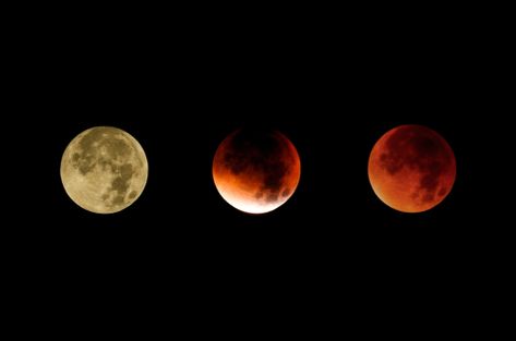 Rare Total Lunar Eclipse During Leo: Prepare For a Huge Energy Shift On January 20-21 2019 Energy Shift, Blood Moon Eclipse, Total Lunar Eclipse, Partial Eclipse, Super Moon, Lunar Eclipse, January 21, Blood Moon, The Moon