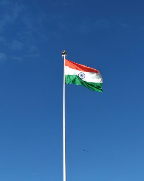 Indian flag. Download this photo by Mitul Gajera on Unsplash Essay On Independence Day, Indian Flag Pic, Flag Aesthetic, Indian Flag Images, 15 August Independence Day, Indian Flag Wallpaper, Independence Day India, Beach Sunset Wallpaper, 4k Wallpaper For Mobile