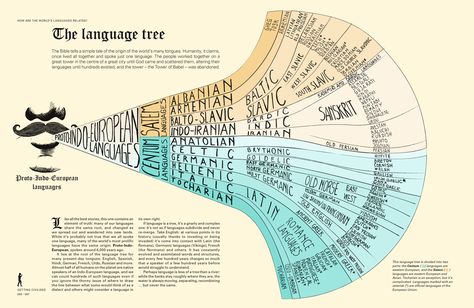 Linguistics - the language tree Interesting Charts, Language Tree, Sign Language Phrases, British Sign Language, Language Families, Learning French, European Languages, Word Nerd, World Languages