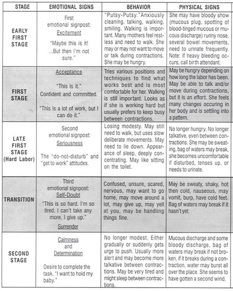 Explore the stages of labor with your birthing team, finding a position guide, stages of labor chart, and more to plan ahead for your childbirth experience. Bradley Method Cheat Sheet, Labor Stages, The Bradley Method, Bradley Method Birth Plan, Stages Of Labor Chart, Transition Stage Of Labor, Bradley Birthing Method, How To Progress Labor Dilation, Birth Tips Labour