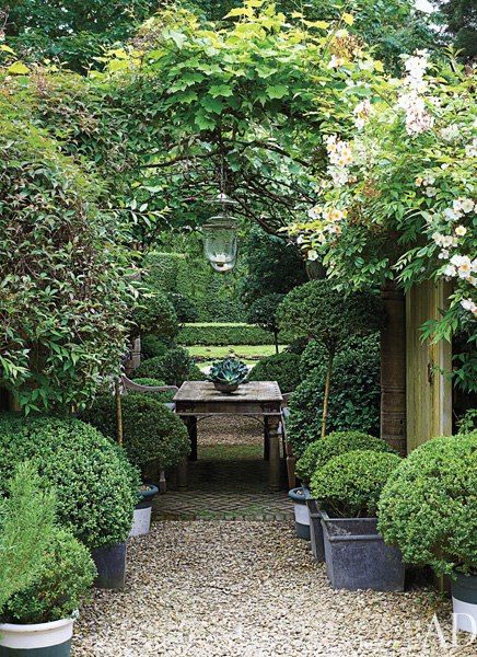 Reka Bentuk Landskap, English Manor Houses, Desain Lanskap, Garden Vines, Have Inspiration, The Secret Garden, White Gardens, Gorgeous Gardens, Garden Cottage