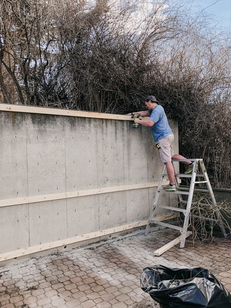 Cover Concrete Retaining Wall, Diy Concrete Wall Outdoor, Wood Slat Retaining Wall, Diy Concrete Fence Wall, How To Cover Concrete Walls Outside, Exterior Concrete Wall Ideas, Concrete Wall Backyard, Outside Wall Covering Ideas, Concrete Wall Ideas Outdoor