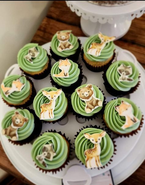 Wild Forest, Forest Theme, Themed Cupcakes, Woodland Baby, Baby Shower Woodland, Cup Cakes, Cupcake, Baby Shower, Forest