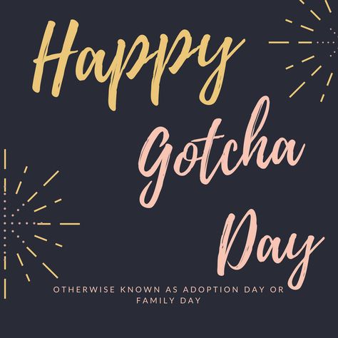 Everything You Need to Know About "Gotcha Day" | The Whispering Leaf Happy Gotcha Day Adoption, Happy Gotcha Day Dogs, Gotcha Day Dog, Happy Gotcha Day, Adoption Quotes, Adoption Day, Adoptive Family, Gotcha Day, Painted Rocks Diy