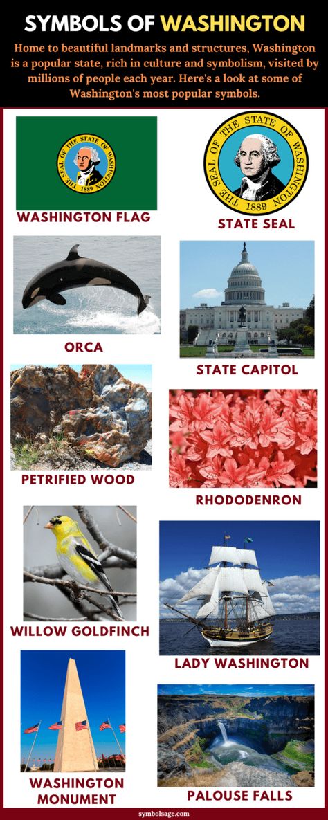 Washington is the 42nd state of the United States of America that entered the Union in 1889. Home to beautiful forests, deserts and important historical landmarks and structures, Washington is represented by several well-known symbols. Washington State History Projects, Washington Monument School Project, Washington Monument Project, State History Projects, Washington State Flag, Washington State Map, Washington State Stickers, Washington State History, Wa State