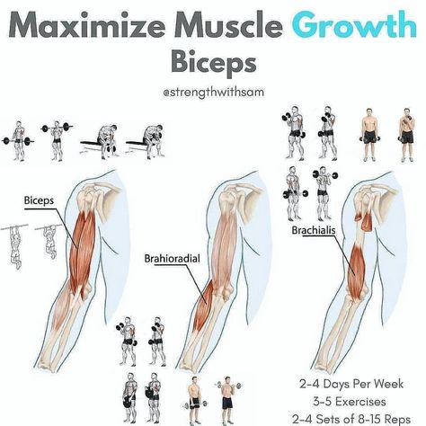 Bicep Growth 🔴🔴🔴 Follow @kyeclarkefitness for more great content. 🔵🔵🔵 #fitnessjunkie #fitnessguru #fitnessblog #fitness24seven #fitnessfam #fitnessaddicted #fitnessislife #fitnesslove #fitnesstrainer #fitnesstips #fitnessworld #fitnessblogger... Gym Workouts Cardio, Energy Anatomy, Barbell Curls, Every Muscle Group, Arm Training, Workouts Cardio, Concentration Curls, Workout Girl, Nutrition Motivation