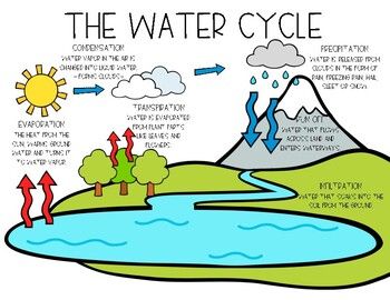 This water cycle anchor chart is a great way to reinforce the concept with your students. I have included two copies of the chart so you can either print it as a full sheet or two to a page. The Water Cycle Project, Water Cycle Project Poster, Water Cycle Anchor Chart, Water Cycle Project, Water Cycle Diagram, The Water Cycle, Science Notes, 4th Grade Classroom, Water Cycle