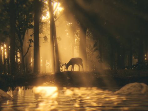 Rdr 2 Scenery, Arthur Morgan High Honor, Rdr2 Laptop Wallpaper, Rdr2 Widgets, Rdr 2 Aesthetic, Rdr2 Wallpaper Desktop, The Last Of Us Part 2 Aesthetic, Red Dead Aesthetic, Rdr2 Background