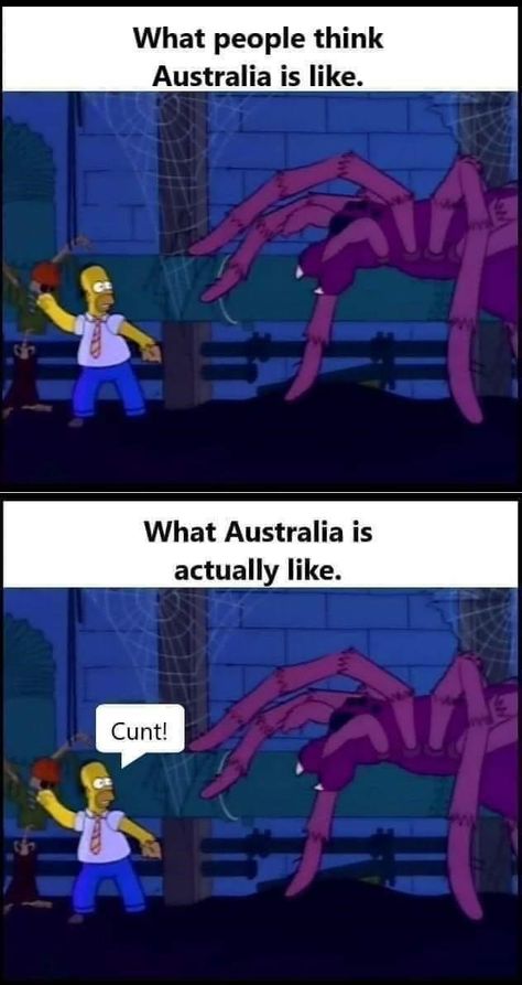 Australia Funny Humor, Funny Aussie, Australia Funny, Jokes Pics, Funniest Memes, Some Funny Jokes, Really Funny Pictures, Really Funny Memes, The Simpsons