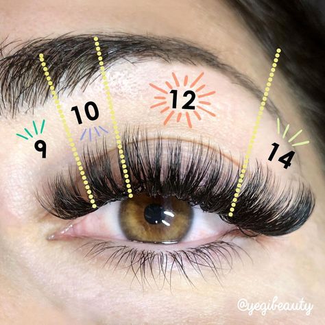 Eyelash Training & Supplies on Instagram: “🌞 Hey Lash artist! Want to create this wet lash look? Yegi has some tips for a look like this! 😸 💦 To get this wet lash cat-eye look: Use…” Volume Wet Look Lashes, Lash Map Wet Look, Wet Lash Cat Eye, 14mm Lash Extensions, Volume Cat Eye Lash Extensions Mapping, Lash Extension Mapping Styles, Lash Mapping Eyelash Extensions Volume, Lash Extensions Wet Look, Cat Eye Lash Extensions Map