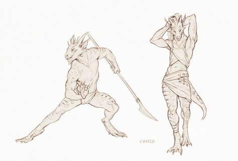 Dnd Dragonborn, Dragon Anatomy, Concept Art Character, Dungeons And Dragons Characters, Dragon Drawing, Anatomy Art, Dragon Art, Dnd Characters, Creature Design