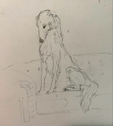 Old Dog Drawing, Borzoi Sketch, Borzoi Tattoo, Borzoi Dog Drawing, Closed Eye Drawing, Borzoi Drawing, Borzoi Art, Drawing Portfolio, Back Drawing