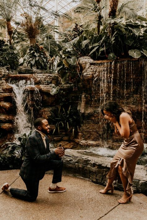 Angela and Demarcus's Engagement in Gaylord Opryland Resort & Convention Center Emotional Photoshoot, Photoshoot Proposal, Proposal Photoshoot, Proposal Pictures, Best Wedding Proposals, Proposal Photography, How We Met, Proposal Photos, Romantic Proposal