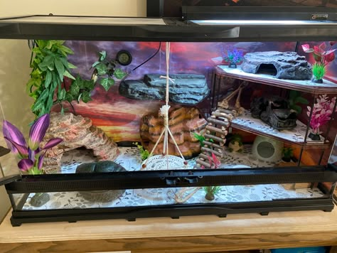 10 Gallon Gecko Tank, Reptile Enclosure Ideas Leopard Geckos, Geko Lizard Enclosure, Diy Lizard Hide, Lepord Gecko Enclosure Ideas, 20 Gallon Leopard Gecko Tank Ideas, Lepord Gecko Tank Set Up, Leopard Gecko Terrarium Ideas 20 Gallon, Lepord Gecko Enclosure