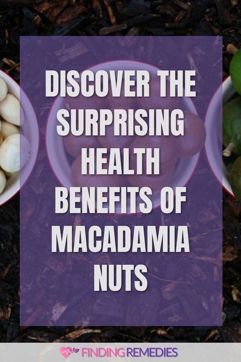 Discover the Surprising Health Benefits of Macadamia Nuts Macadamia Nut Benefits, Nuts Health Benefits, Nut Benefits, Fruit Health Benefits, Fruit Benefits, Healthy Snack Options, Improve Heart Health, Health Research, Nutritious Snacks