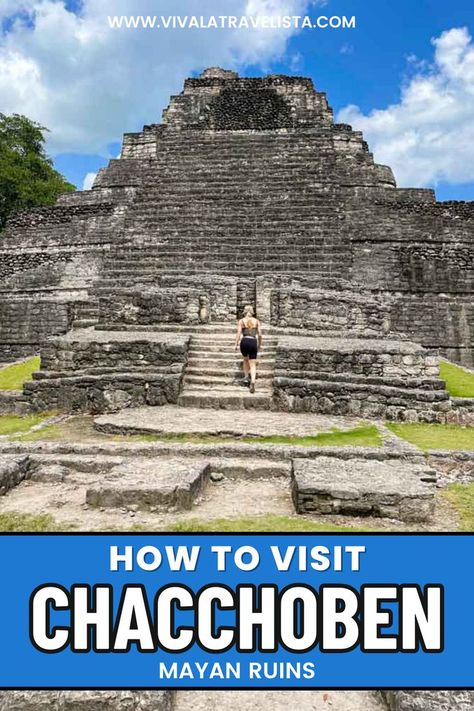 A pyramid at the Chacchoben Mayan Ruins Carribean Cruise, Mexico Travel Guides, Mayan Ruins, Opening Hours, Caribbean Cruise, Travel Themes, Mexico Travel, Top Tips, Travel Blog