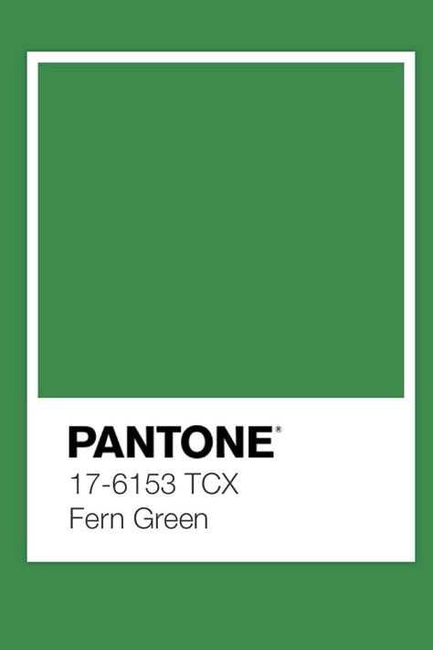 Leaf Green Pantone, Outfit Palette, Green Pantone, Pantone Green, Pantone Color Chart, Pantone Colors, Grasses Garden, Fern Green, Leaf Green