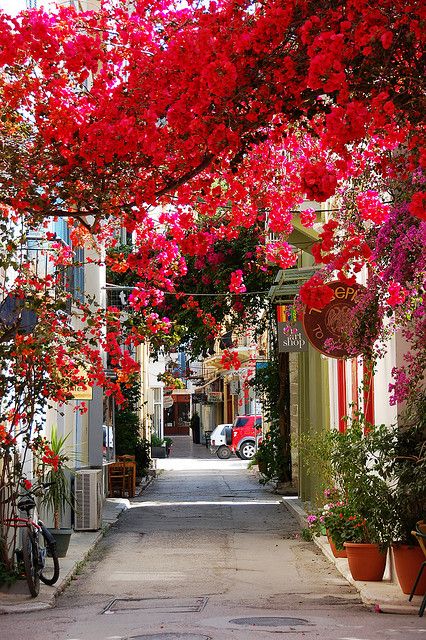 Nafplio, Peloponnese - Greece Simplesmente MARAVILHOSO!!!!!!!!!!!! tá ai um outro lugar que gostaria de conhecer, deve ser fantástico! Peloponnese Greece, Narrow Street, نباتات منزلية, Beautiful Streets, Plants And Flowers, I Want To Travel, Greece Travel, Positano, Pretty Places