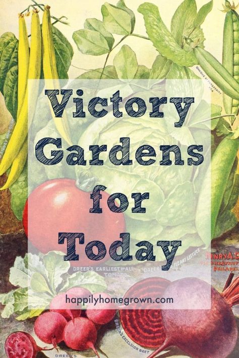 Victory Gardens for Today | Happily Homegrown Victory Garden Plans, Row Gardening, Victory Gardens, Vegetable Harvest, Homestead Gardens, Garden Plots, Victory Garden, Family Eating, Square Foot Gardening