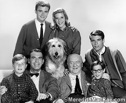 My Three Sons - (1960-1972) with William Frawley(Bub). Also Starring: Fred MacMurray, William Frawley, Don Grady, Stanley Livingston, Barry Livingston, Tim Considine, Meredith MacRae, Tina Cole, Beverly Garland, Dawn Lyn and Ronne Troup. Tim Considine, Meredith Macrae, Don Grady, William Frawley, My Three Sons, Old Shows, Old Tv Shows, Comedy Tv, Tv Guide