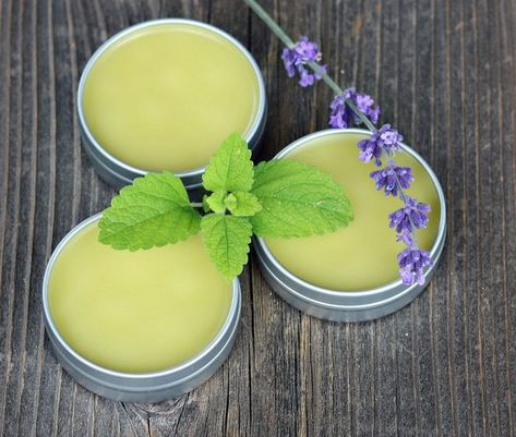 Get my recipe for this DIY herbal no bug balm made with lemon balm and other herbs and flowers. It's easy to make and keeps the bugs away! Lemon Balm Recipes Skin Care, Lemon Balm Uses, Lemon Balm Recipes, Cooking With Turmeric, How To Grow Lemon, Citronella Essential Oil, Salve Recipes, Mountain Rose Herbs, Herbal Salves