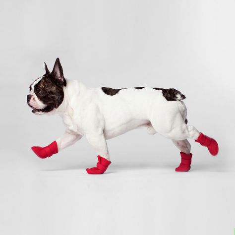 Canada Pooch Wellies Dog Boots | Protect your dog's paws from rain, snow, salt and mud with Wellies boots Canada Pooch, Dressed Up Dogs, Spider Sona, Gum Boot, Inktober 2024, Paw Cleaner, Reference Pics, Dog Boots, Wellies Boots