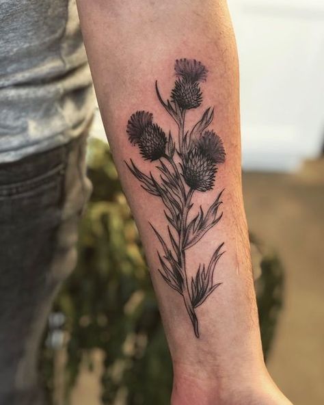 Mens Scottish Tattoos, Scottish Thistle Tattoos, Thistle Tattoo Men, Mens Botanical Tattoo, Thistle Tattoo Design, Scottish Tattoos Men, Botanical Tattoo Men, Scottish Tattoo Ideas, Scottish Tattoos For Women