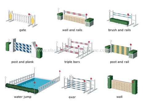 obstacles image Horse Jumping Exercises, Cross Country Jumps, Horse Exercises, Horse Facts, Horse Riding Tips, Types Of Horses, Horse Tips, Horse Diy, Horse Blankets