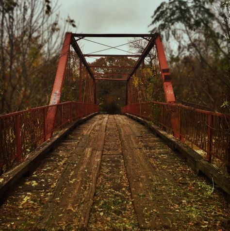 Small Town Aesthetic, Small Town Mystery, Paranormal Aesthetic, Town Aesthetic, Forest Aesthetic, Paranormal Investigation, Southern Gothic, Ghost Hunters, Gothic Aesthetic