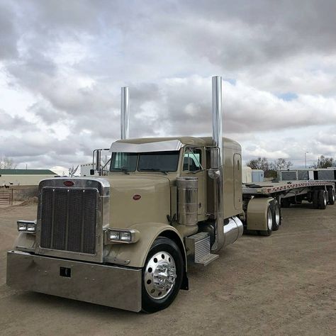 LargeCarsMafia™ on Instagram: “Ramon Dad Freshly Built Ride!🚛 #Peterbilt379 #Largecarsmafia #Truckin #Trucklife” Peterbilt 379, Trucking Life, Built Truck, Peterbilt Trucks, Big Rig Trucks, Semi Truck, Large Cars, Big Rigs, Heavy Truck