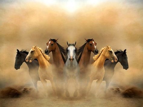 7 Horses Running Painting Vastu Wallpaper, Seven Horses Painting, 7 Horses, Horse Canvas Painting, Mustang Horse, Horse Artwork, Horse Wallpaper, Canvas Drawings, Most Beautiful Horses