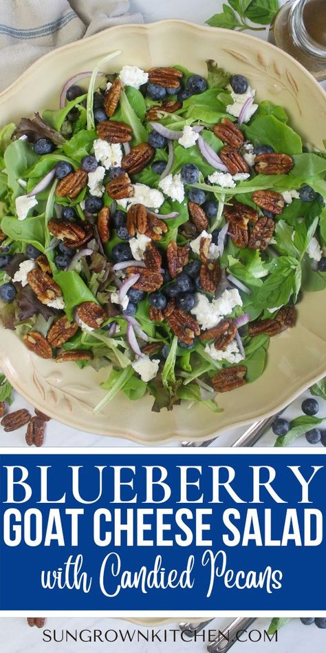 Salad platter with blueberries, goat cheese and candied pecans and basil balsamic vinaigrette. Savory Blueberry Recipes, Blueberry Recipes Savory, Blueberry Goat Cheese Salad, Pecan Salad Recipe, Salad With Candied Pecans, Blueberry Salad Recipes, Blueberry Spinach Salad, Blueberry Balsamic, Candied Pecans For Salad