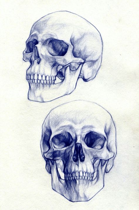 Skull Reference, Skull Sketch, Skeleton Drawings, Tattoo Zeichnungen, Couple Drawing, Drawing Eyes, Skulls Drawing, Drawing Faces, Desenho Tattoo