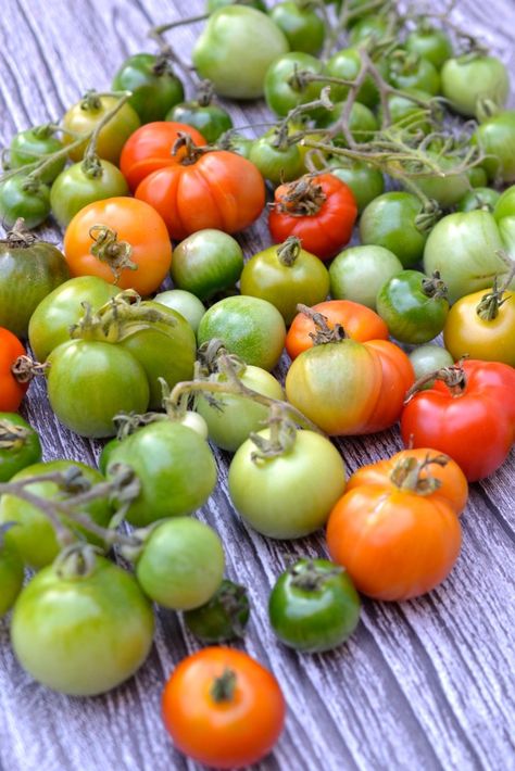 Spicy Green Tomato Salsa, Salsa With Green Tomatoes, Green Cherry Tomato Salsa, Red And Green Tomato Salsa, Green Tomato Salsa Canning, Roasted Green Tomato Salsa, Freezer Salsa, Canning Green Tomatoes, Canned Salsa