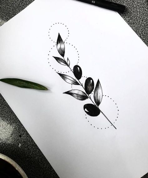 Olive Branch Tattoo Design, Tree Branch Sketch, Branch Sketch, Olive Tree Tattoos, Tree Silhouette Tattoo, Olive Tattoo, Hebrew Tattoo, Olive Branch Tattoo, Lavender Tattoo