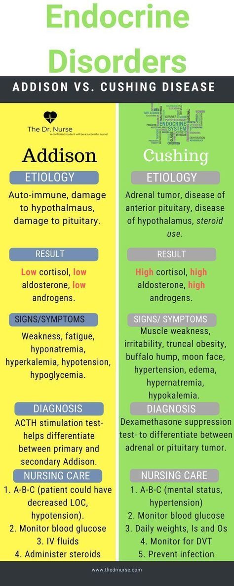 Vet Medicine, Nursing Mnemonics, Endocrine Disorders, Nursing School Survival, Nursing School Studying, Nursing School Tips, Med Surg, Nursing School Notes, Nursing Programs