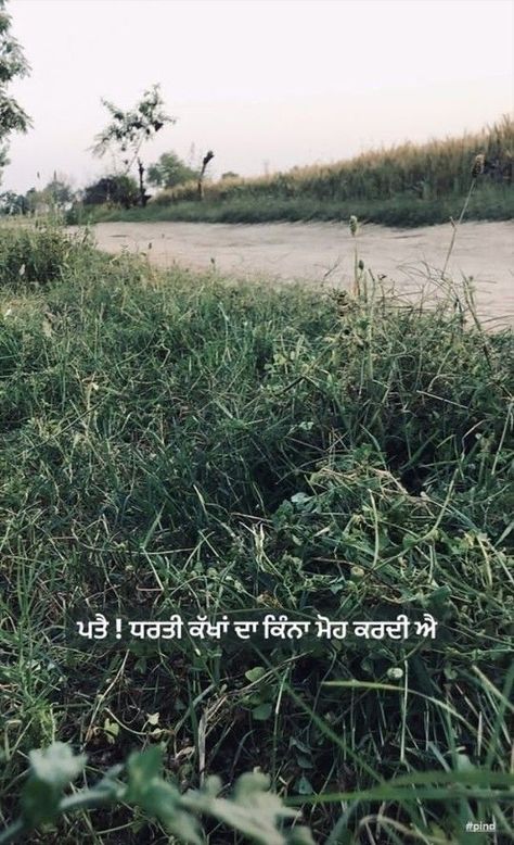 Pind Punjab Quotes, Punjab Quotes, Punjabi Thoughts, Simplicity Quotes, Punjabi Culture, Boss Motivation, Punjabi Love Quotes, Doodle Quotes, Punjabi Poetry