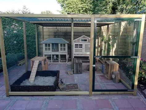 Bunny Pen Outdoor, Outside Bunny Enclosure, Outdoor Bunny Enclosure, Diy Rabbit Hutch Outdoor, Rabbit House Outdoor, Bunny Sheds, Outdoor Rabbit Run, Rabbit Cages Outdoor, Diy Bunny Cage