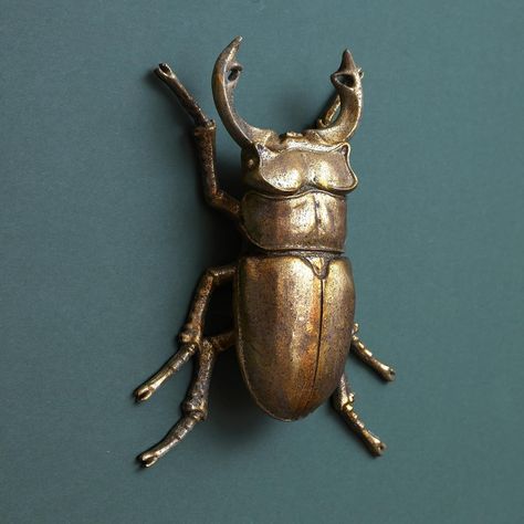 Amazon Finds Room Decor, Bug Wall, Victorian Botanical, Lady Beetle, Ornament Wall, Beetle Insect, Metallic Gold Color, Stag Beetle, Scarab Beetle