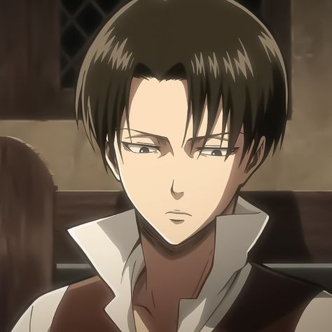 Levi Ackerman Icon, Eren Mikasa Armin, Mikasa Armin, Levi Ackerman, Attack On Titan, Hair, Anime, Black